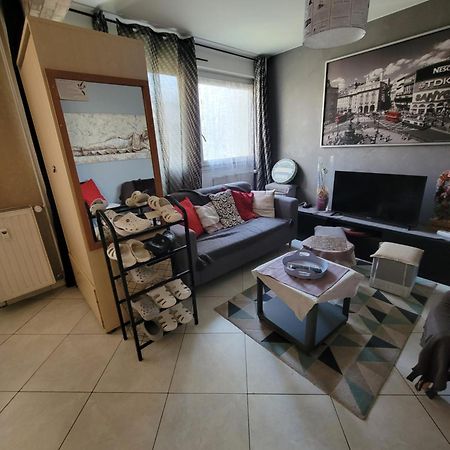 Pour Deplacement 3 Chambres Échirolles Екстериор снимка