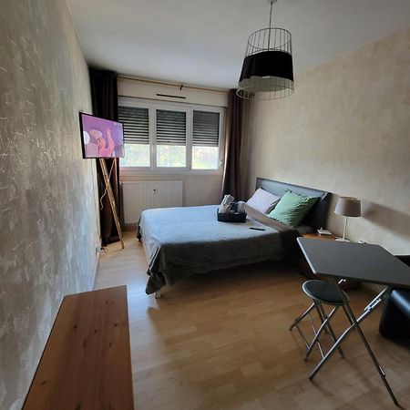 Pour Deplacement 3 Chambres Échirolles Екстериор снимка